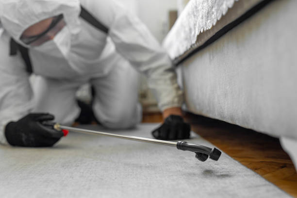 Professional Bed Bug Control technician working in Iowa County County, IA